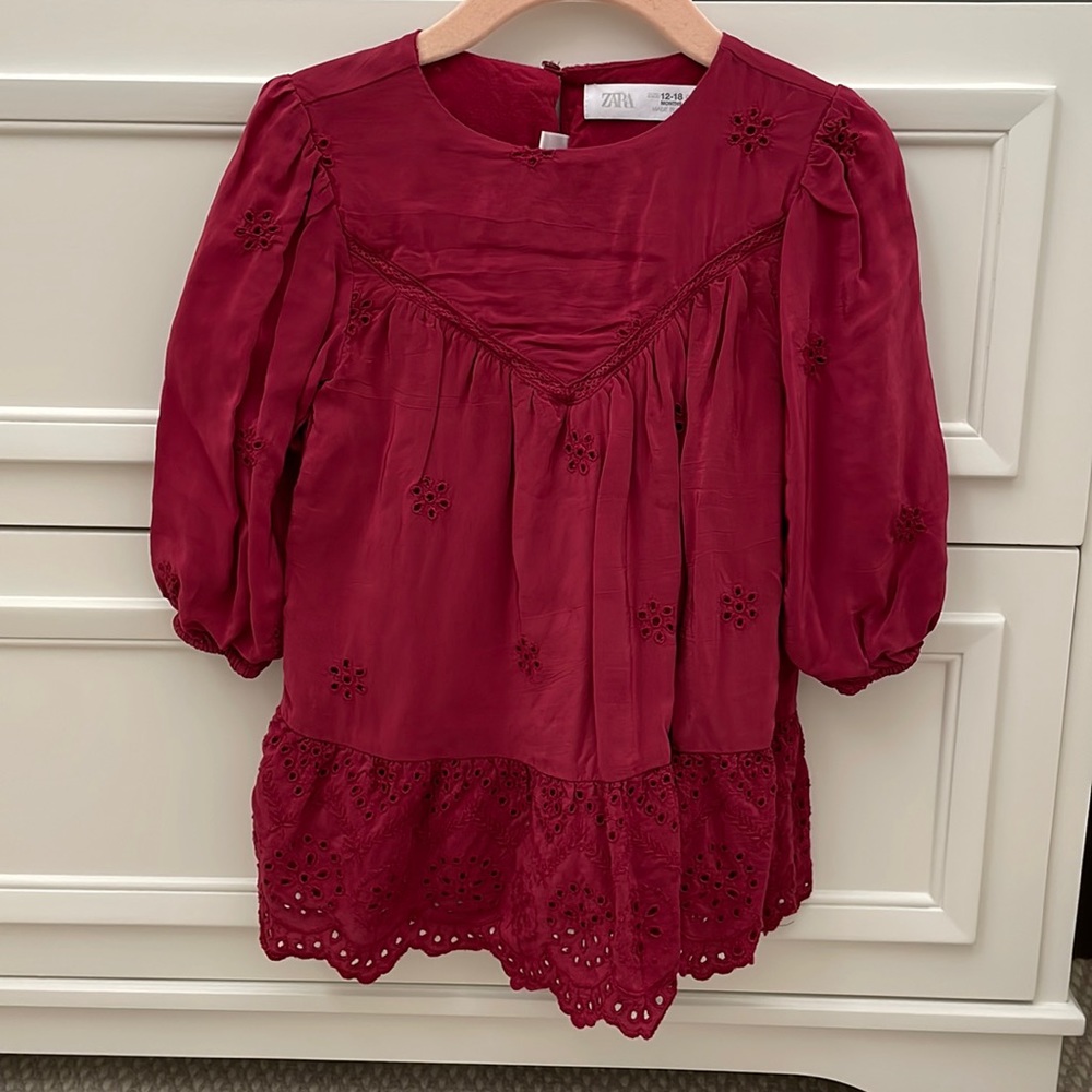 Zara Embroidered Dress-Raspberry